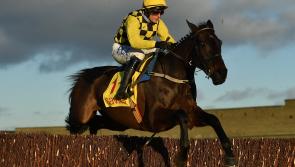 Al Boum Photo rounds off stellar festive period for Willie Mullins