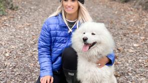 Keeping fit, charity, supporting local and postponing her wedding to Kilkenny hurler TJ Reid - Niamh De Brun on life in lockdown
