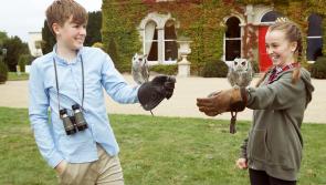 Outdoor Kilkenny has unmissable adventures for 2021