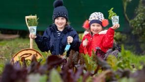 Kilkenny teachers invited to register for The Big Grow 2021