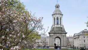 Eight Kilkenny students receive Trinity Entrance Exhibition Awards
