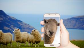 Teagasc re-introduce COVID-19 telephone helpline for Kilkenny farmers