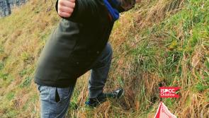Kilkenny families urged to ‘Climb for Childline’ this February and make a difference 