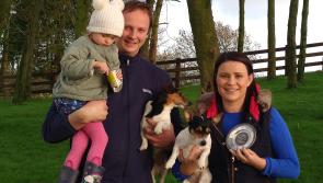 Kilkenny winners in IHFA National Herds Competition