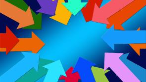 The Big Question: Homeschooling 