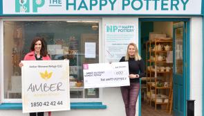 Kind-hearted artist raises vital funds for Amber Women's Refuge in Kilkenny