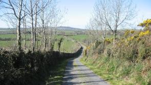 Kilkenny has two types of hedges - learn how to manage them during Hedgerow Week