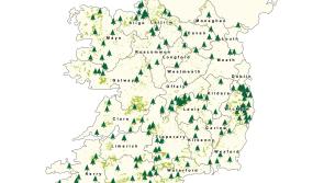 Kilkenny forest the fifth most-visited in Ireland during Covid-19