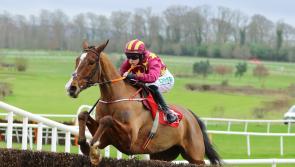 Horse Racing Ireland sees an increase in prize money for 2022