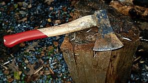 Archives: Savage hatchet attack on prize horse in Kilkenny