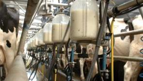 Tirlán April milk price 40.08 cpl to Kilkenny Farmers
