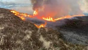 Warning issued to public against starting illegal fires - Kilkenny Live