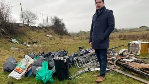 Butchered pig, furniture and household waste dumped at Dalys Hill in Kilkenny
