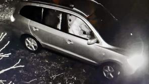 Gardai investigate attempted break in at dog rescue on Tipperary/Kilkenny border