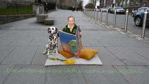 It's all happening in Kilkenny's virtual St Patrick's Day Festival 