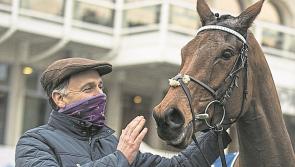 Huge day for Kilkenny at Cheltenham with mega wins - including 33/1 Gowran-trained stunner