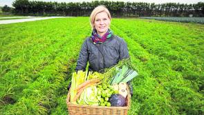 Kilkenny farmers are urged to take advantage of the Organic Farming Scheme