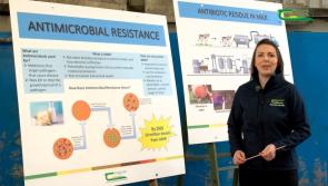 Environmental conservation key focus of Farm Walk and Talk  series
