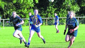 Building for the future is the clear goal for Kilkenny LGFA