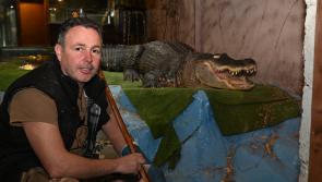 ‘I thought that was it’ - Kilkenny zookeeper on plane crash