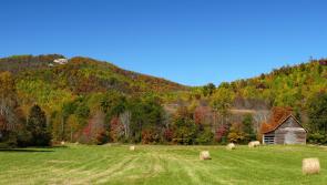 Dealing with stress in farming 