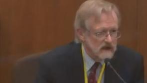 Kilkenny man is expert witness at Derek Chauvin murder trial in US