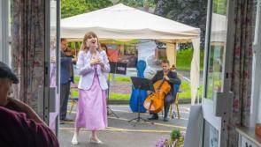 World class artists set to bring joy to Kilkenny hospital and care home residents