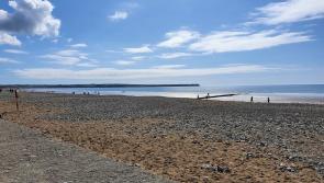 Beach popular with Kilkenny visitors loses Blue Flag Status