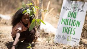 Charity hits million tree milestone thanks to support from county Kilkenny