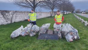 Spirit of volunteerism is strong in Kilkenny