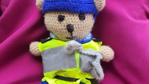 Kilkenny's Garda Ted urges people to 'Go Purple' this Friday