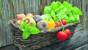 Minister: Agri-Food Strategy envisions Ireland to be a 'world leader' in Sustainable Food Systems