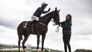 Colreevy bows out in style for five-star Mullins