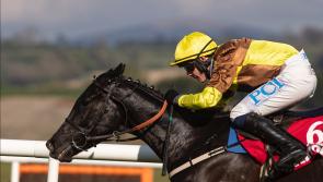 Mullins team still Galopin to victory at Punchestown