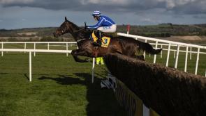 Energetic Energumene enters Hilly Way Chase reckoning  for Willie Mullins
 