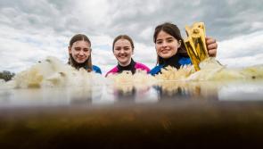 Kilkenny students encouraged to enter BT Young Scientist 2022