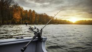 Urgent call for 2020 salmon and sea trout logbooks and tags to be returned