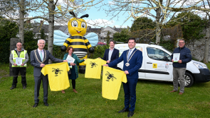 Pardon the weeds — we are feeding the bees, says Kilkenny council