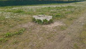 Horses removed from lands at Hebron by Kilkenny County Council