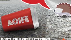 Kilkenny County Council adopts new Litter Management Plan