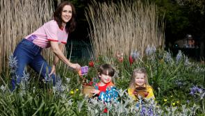 Kilkenny people could win some of 1,000 free GROWBoxes worth €45,000  as part of the Energia and GIY Get Ireland Growing Initiative