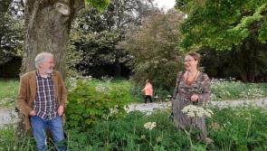 Kilkenny  to receive €43,427 in funding for biodiversity projects 