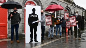 Diageo to make follow-up presentation to Kilkenny Vintners' following petition handover