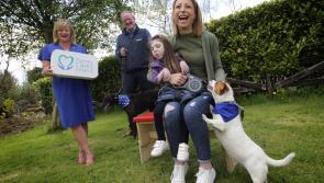 Walk for a cause! The Family Carers Ireland hardship fund needs Kilkenny support