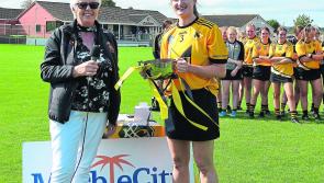 Kilkenny clubs take 2020 season case to DRA