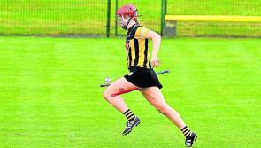 Kilkenny make changes for Offaly clash in Littlewoods National League