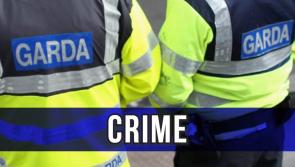 Garda investigation into criminal damage incidents in Kilkenny