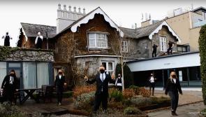 Newpark Hotel Kilkenny's amazing viral videos - an inside chat!