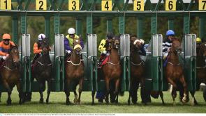 Gowran Park one of the first Irish racecourses  to welcome back owners from Monday
