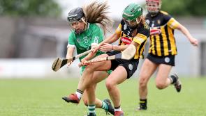 Goals do the trick for Kilkenny but Limerick push Cats all the way